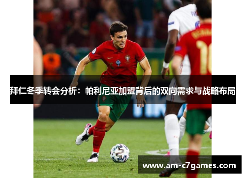 拜仁冬季转会分析：帕利尼亚加盟背后的双向需求与战略布局