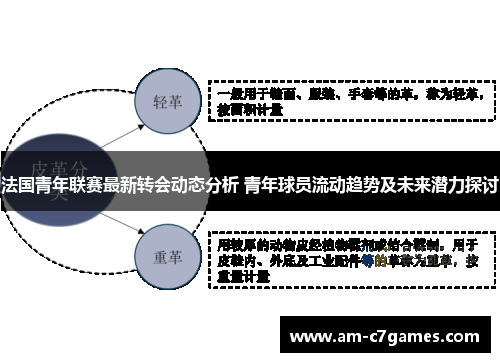 法国青年联赛最新转会动态分析 青年球员流动趋势及未来潜力探讨