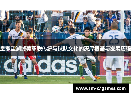 皇家盐湖城美职联传统与球队文化的深厚根基与发展历程 皇家盐湖城美职联传统与球队文化的深厚根基与发展历程
