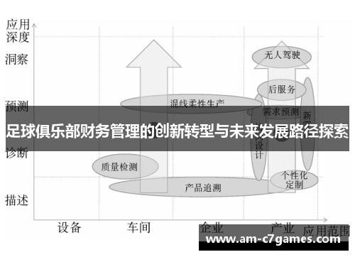 足球俱乐部财务管理的创新转型与未来发展路径探索