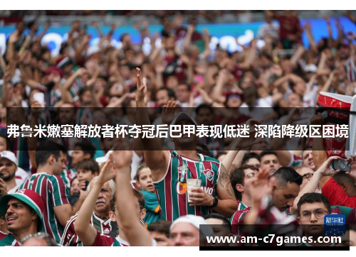弗鲁米嫩塞解放者杯夺冠后巴甲表现低迷 深陷降级区困境